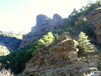Alpujarra Granadina-Puente Reyes;la babia rutas senderismo asturias arbol de la vida celta pirineos 